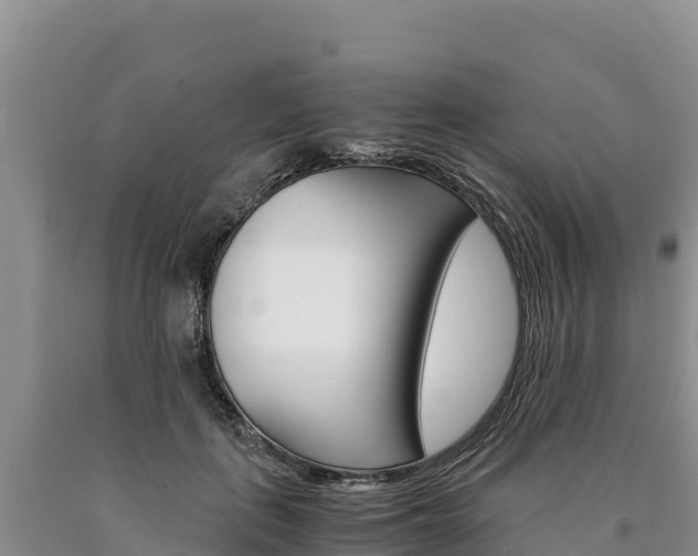 X0000090880651200707271017