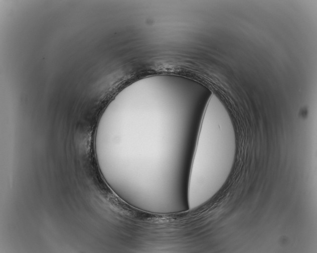X0000090880652200707271017