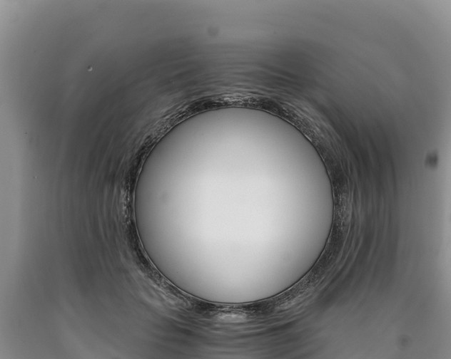 X0000090880653200707271017