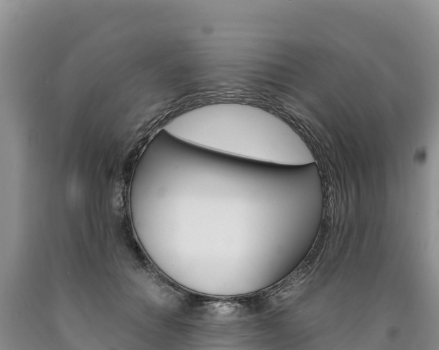 X0000090880654200707271017