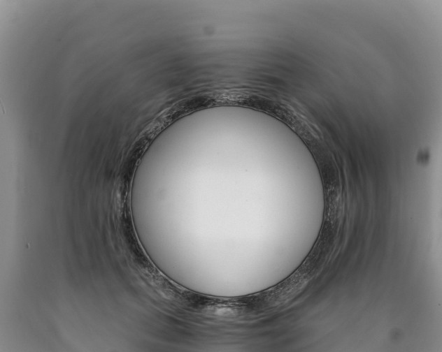 X0000090880655200707271017