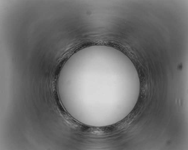 X0000090880658200707271017