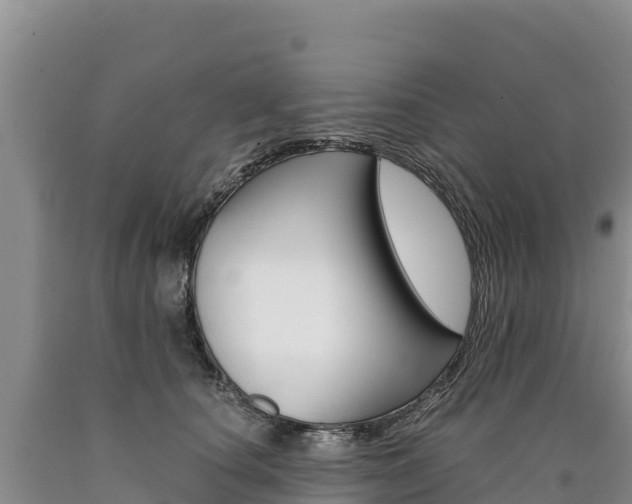 X0000090880660200707271017