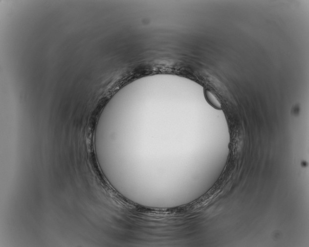 X0000090880661200707271017