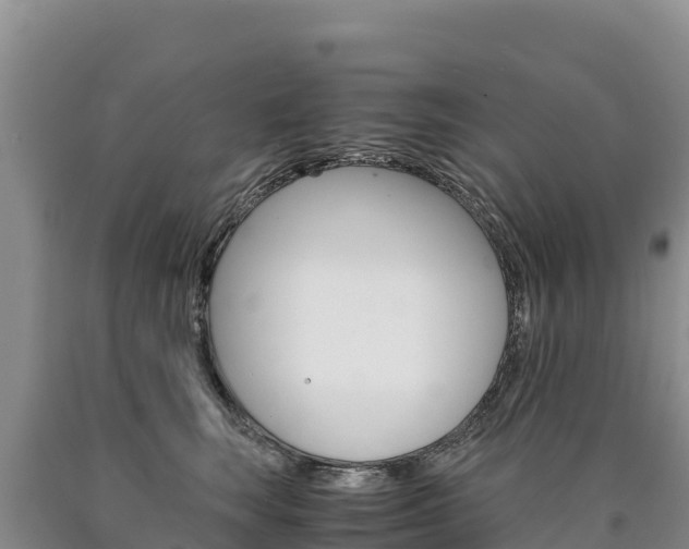 X0000090880663200707271017