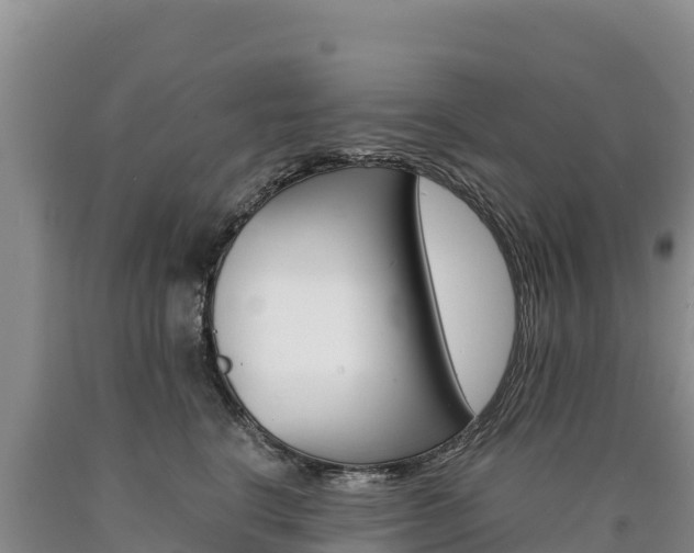 X0000090880664200707271017