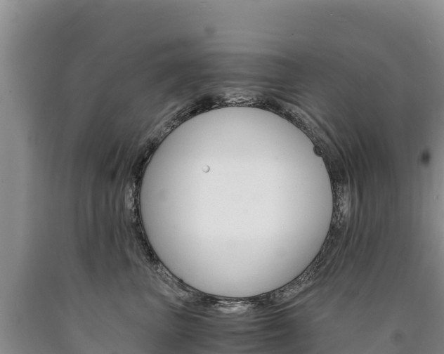 X0000090880667200707271018