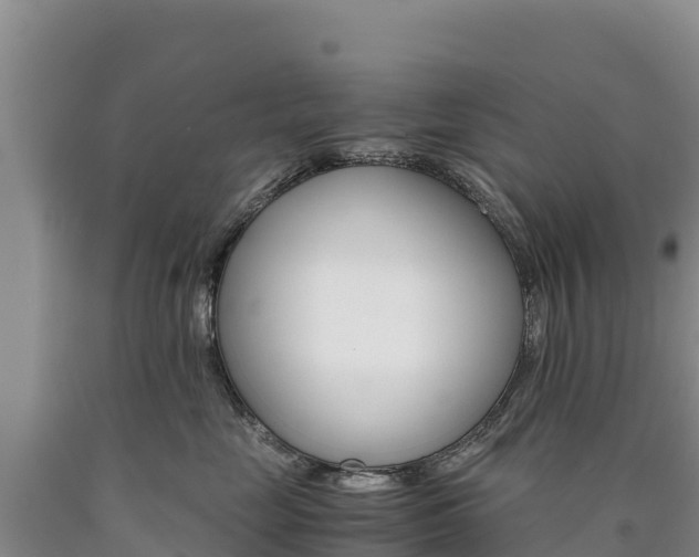 X0000090880669200707271018