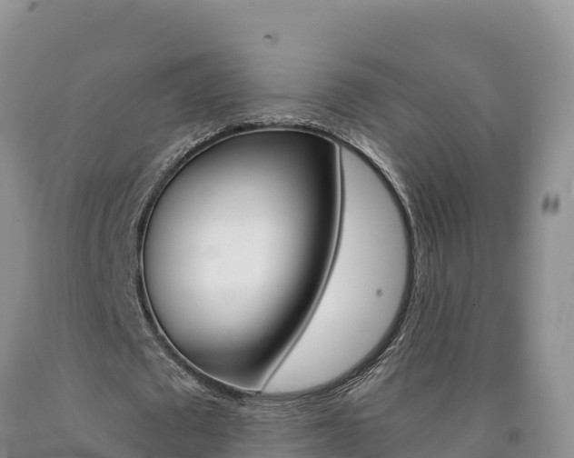 X0000090880673200707271017