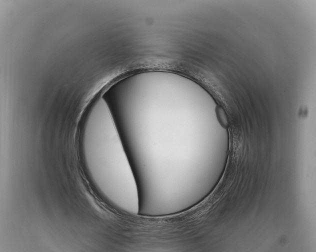 X0000090880674200707271017