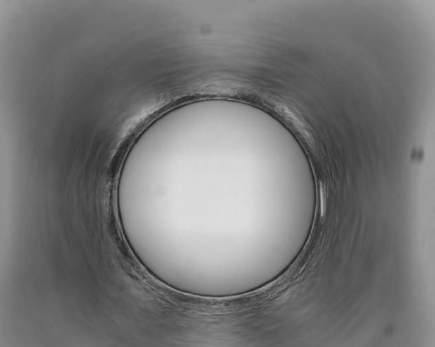 X0000090880675200707271017
