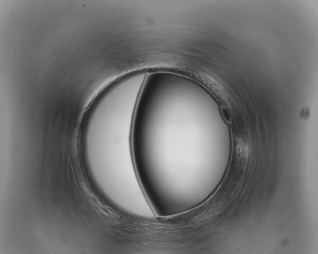 X0000090880676200707271017