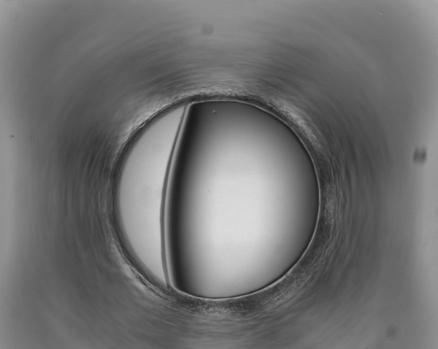 X0000090880677200707271017