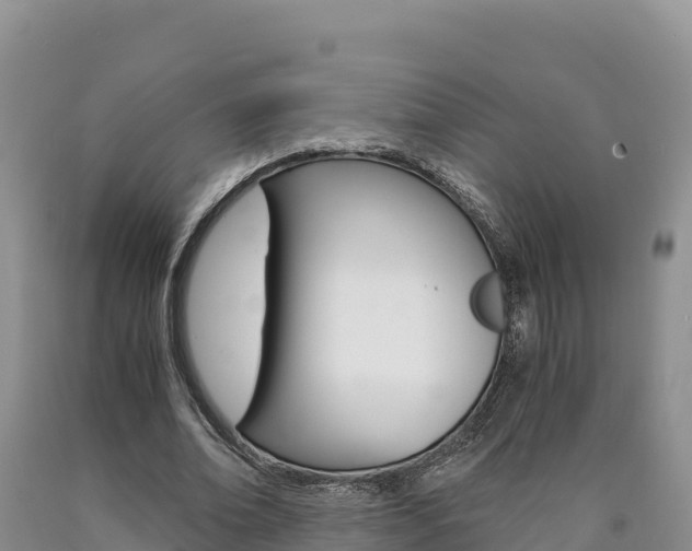 X0000090880678200707271017