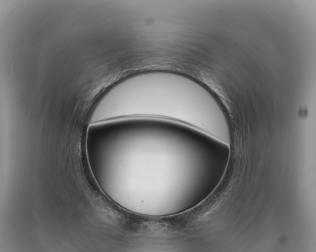 X0000090880681200707271017