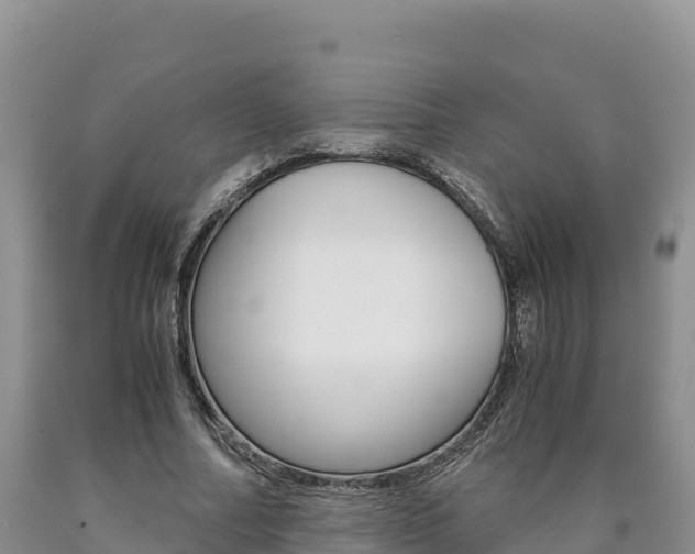 X0000090880682200707271017