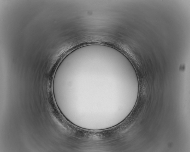 X0000090880683200707271017