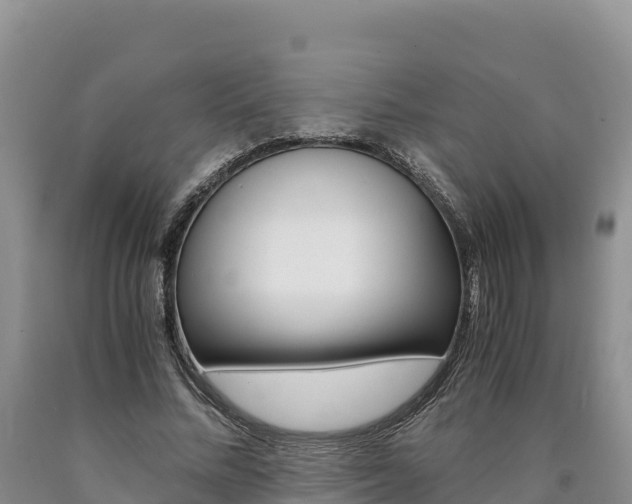 X0000090880684200707271017