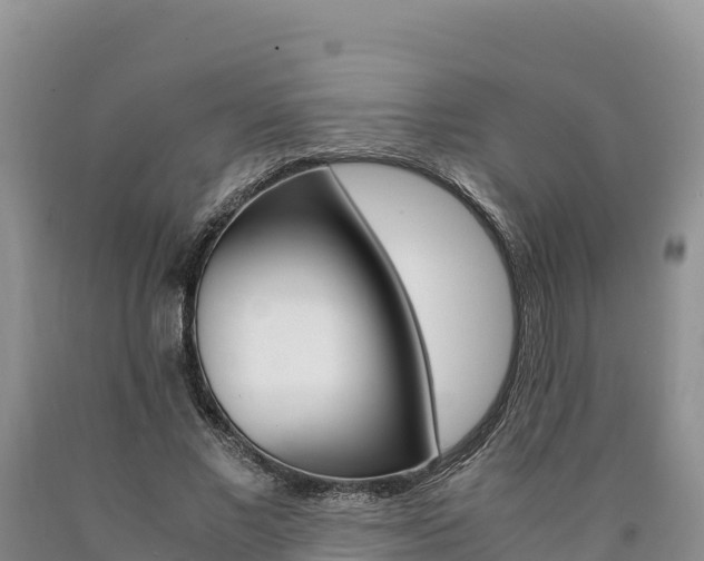 X0000090880685200707271017