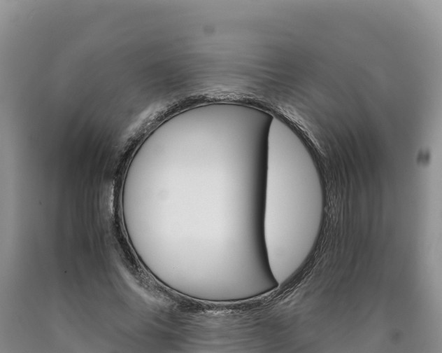 X0000090880686200707271017