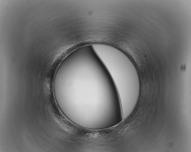 X0000090880688200707271017