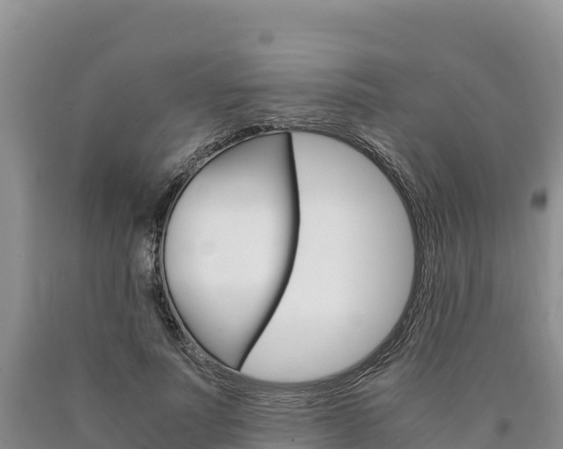 X0000090880691200707271017