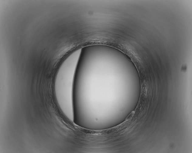 X0000090880692200707271017