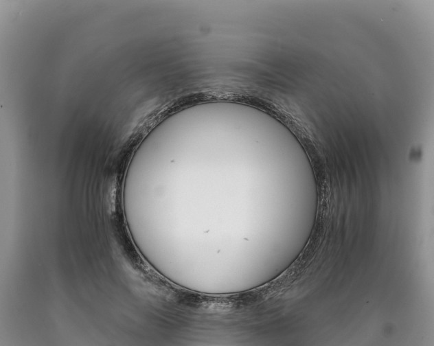 X0000090880694200707271017
