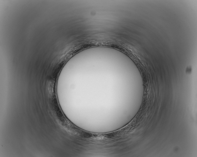 X0000090880695200707271017