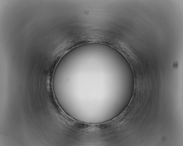 X0000090880696200707271017