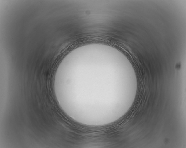 X0000090880701200707271016