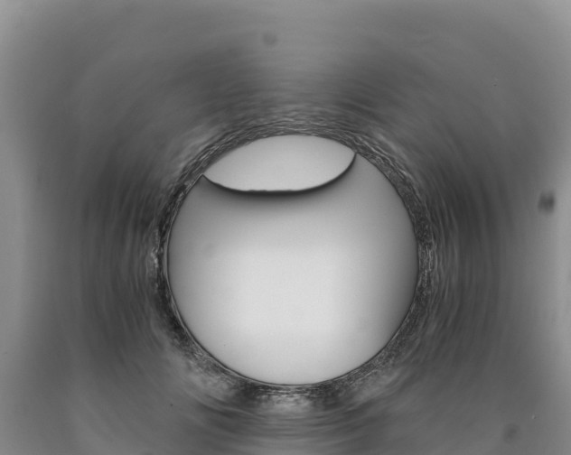 X0000090880702200707271016