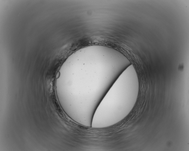 X0000090880703200707271016