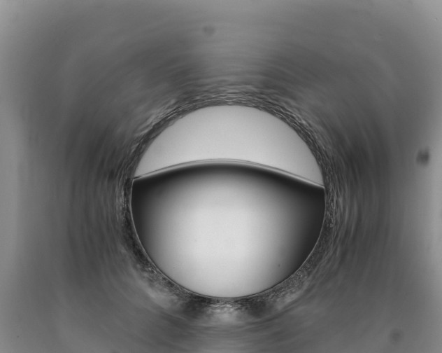 X0000090880704200707271016