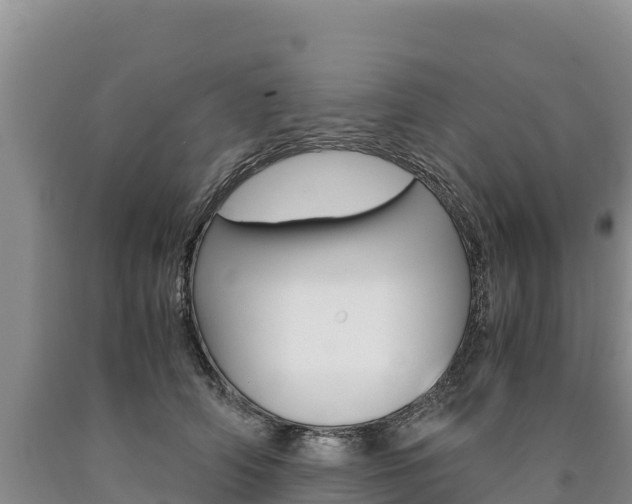 X0000090880706200707271016