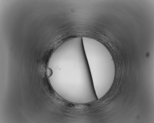 X0000090880707200707271016