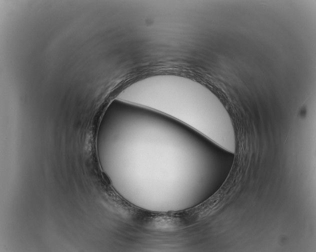 X0000090880708200707271016