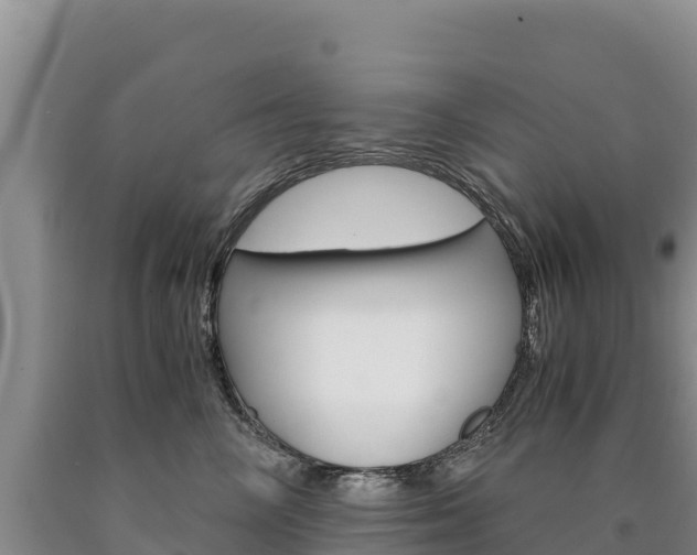 X0000090880714200707271016