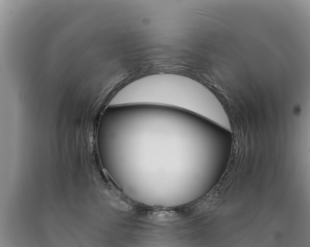X0000090880716200707271016