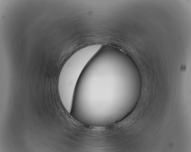 X0000090880720200707271016