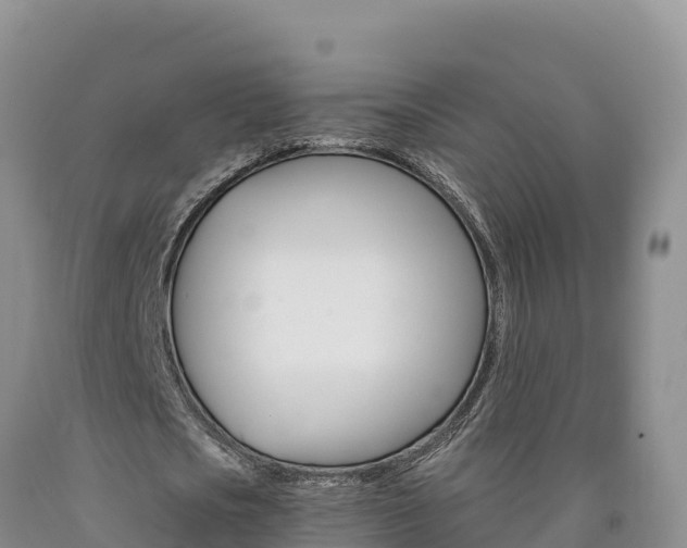 X0000090880721200707271015
