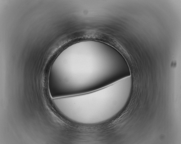 X0000090880722200707271015
