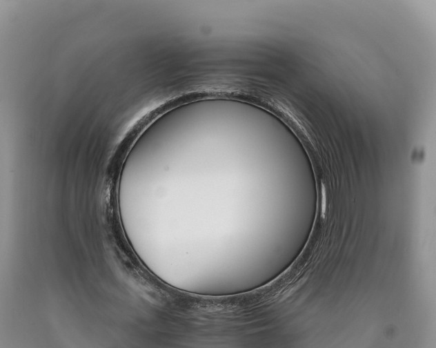 X0000090880723200707271015