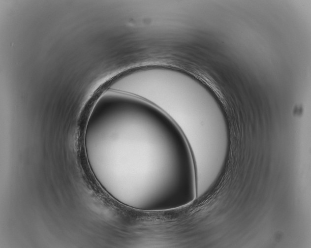 X0000090880724200707271016