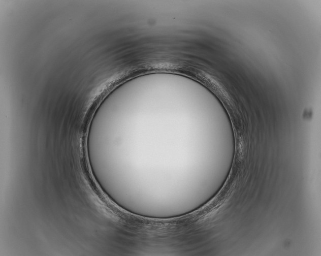 X0000090880725200707271016