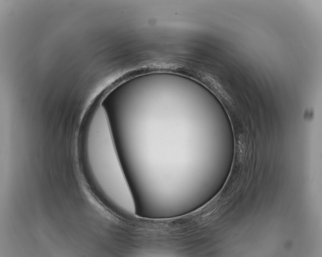 X0000090880726200707271016