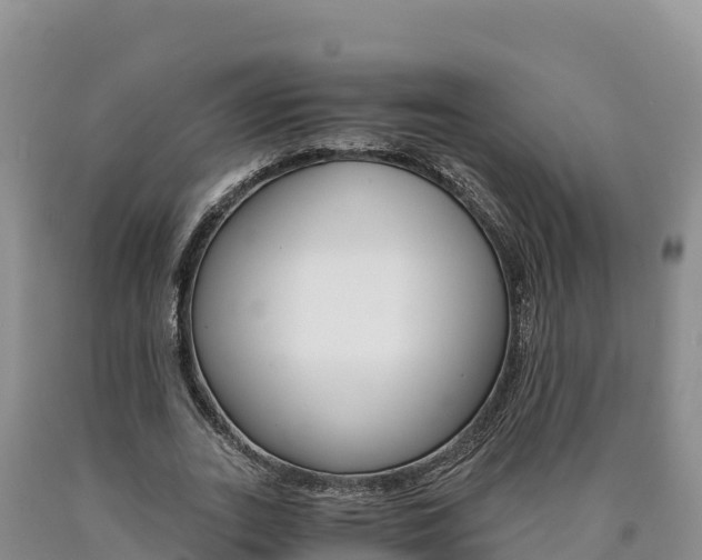 X0000090880727200707271016