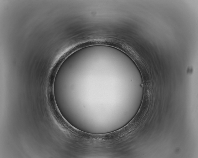 X0000090880728200707271016