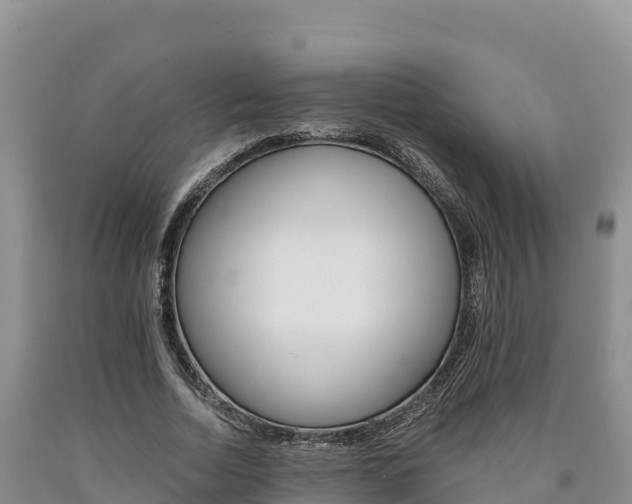 X0000090880730200707271016