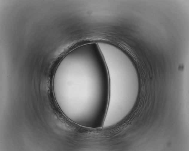 X0000090880732200707271016